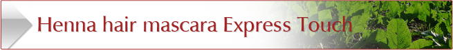 HenneColor - Henna Hair mascara Express Touch NJD-Cosmetics-HenneColor - Henna Hair mascara Express Touch