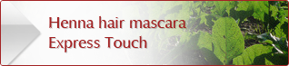 NJD Cosmetics HC Henna hair Mascara Express Touch