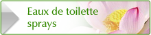 NJD Cosmetics Spiritual Sky Eaux de toilette